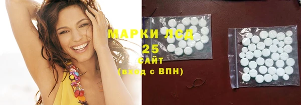 индика Абинск