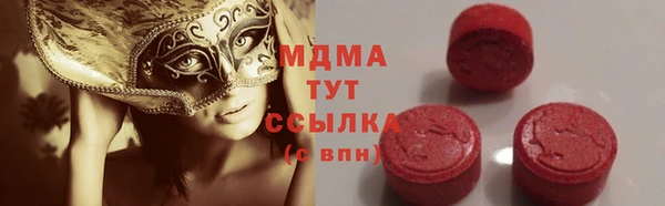 индика Абинск
