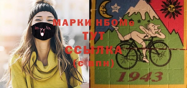 индика Абинск