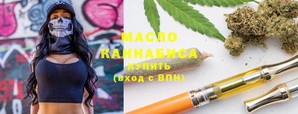индика Абинск