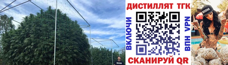 ТГК THC oil как найти закладки Полтавская