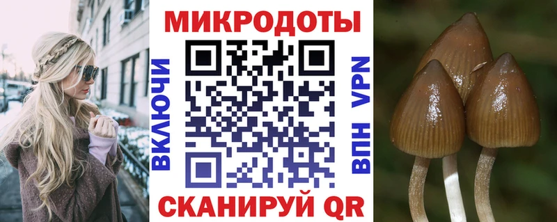 Галлюциногенные грибы Psilocybine cubensis  гидра tor  Полтавская  закладка 